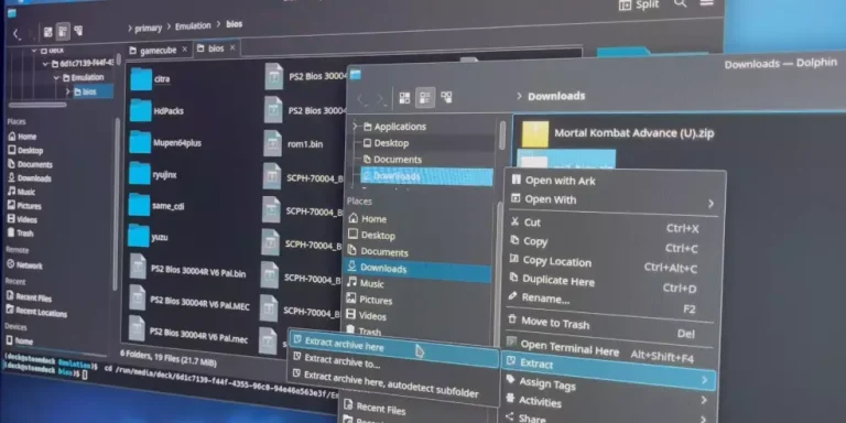 Extract The BIOS File