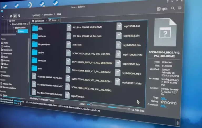 Place the BIOS file